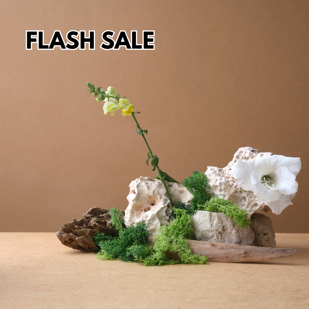 Flash Sale