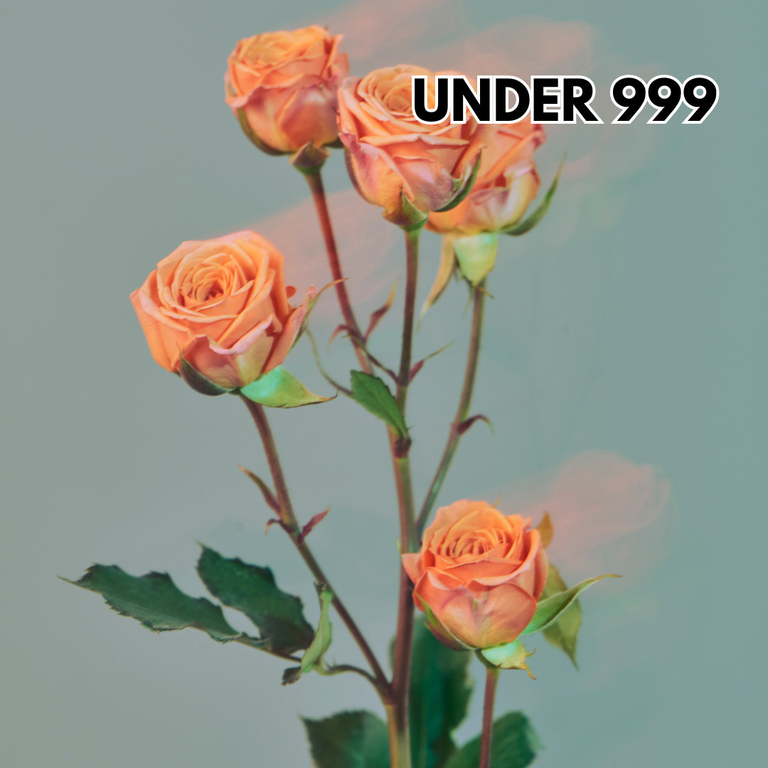 Undr 999