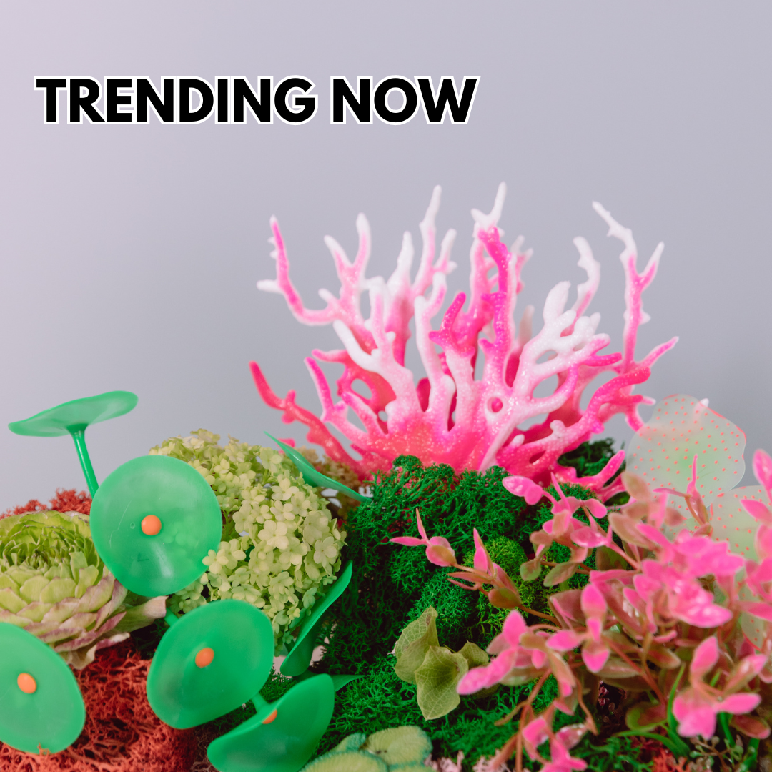 Trending Now